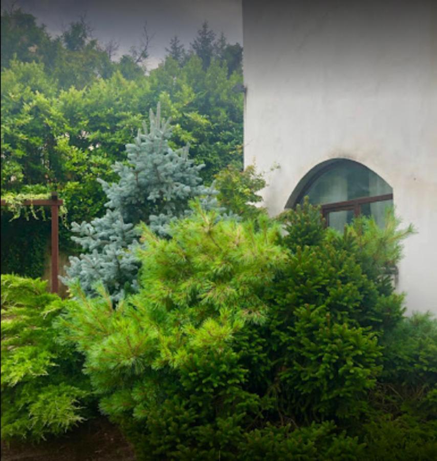 Ferienwohnung Il Giardino Segreto Carbognano Exterior foto
